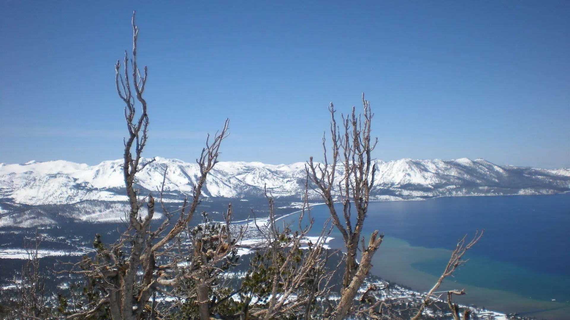 سووث لاك تاهوي Ambassador Lake Tahoe موتيل سووث لاك تاهوي